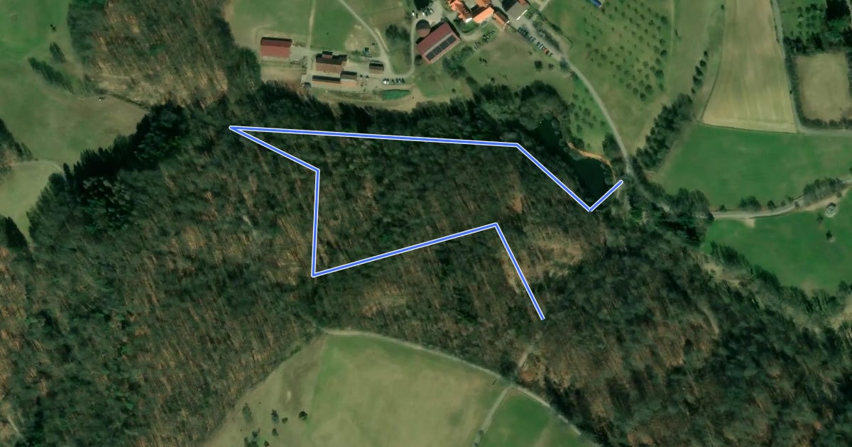 Маршрут Rundwanderweg Rimbach Kreiswald 9: Kreiswald-Weg на спутниковом снимке