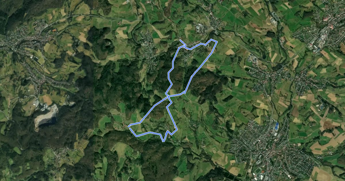Маршрут Rundwanderweg Rimbach Mitlechtern Im Dorf 5: Kreiswald-Weg на спутниковом снимке