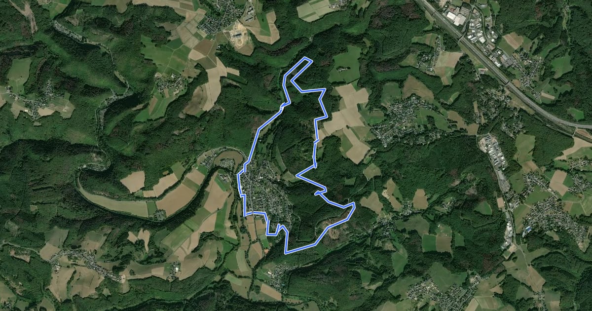 Маршрут Rundwanderweg Roßbach 3 на спутниковом снимке