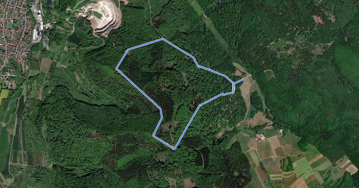 Маршрут Rundwanderweg Roggenberg на спутниковом снимке