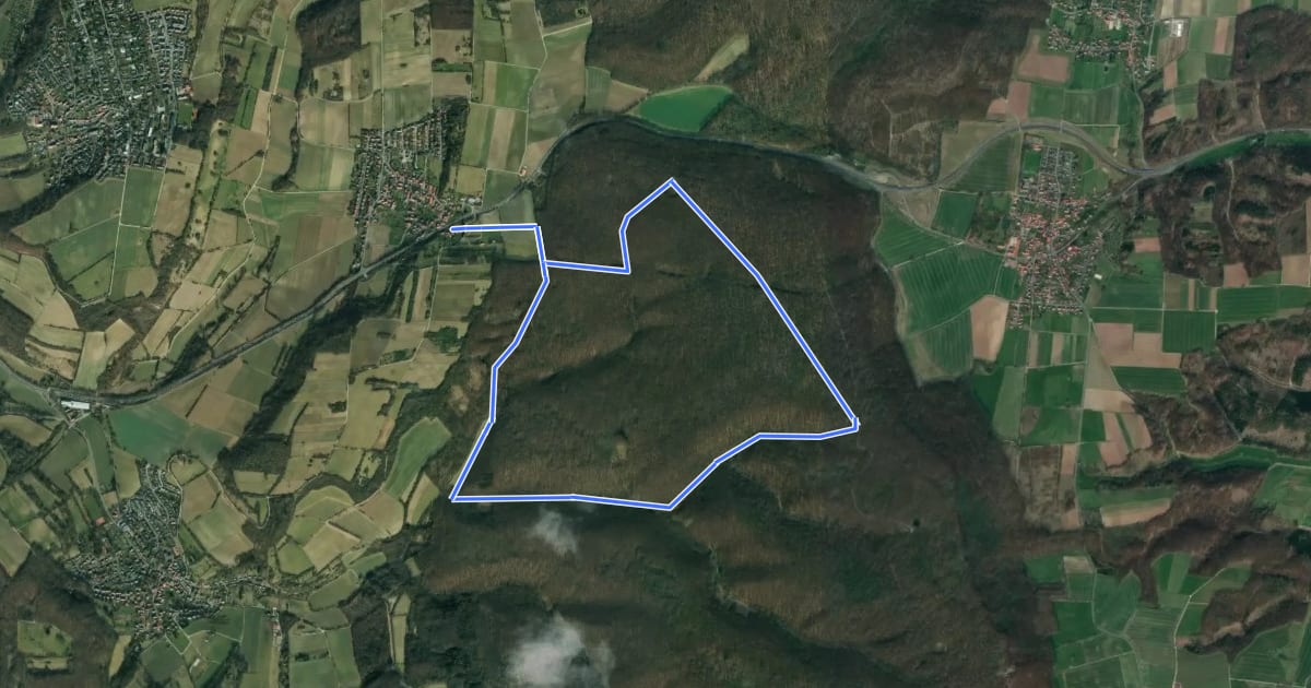 Маршрут Rundwanderweg Roringen – Tour braune Raute на спутниковом снимке