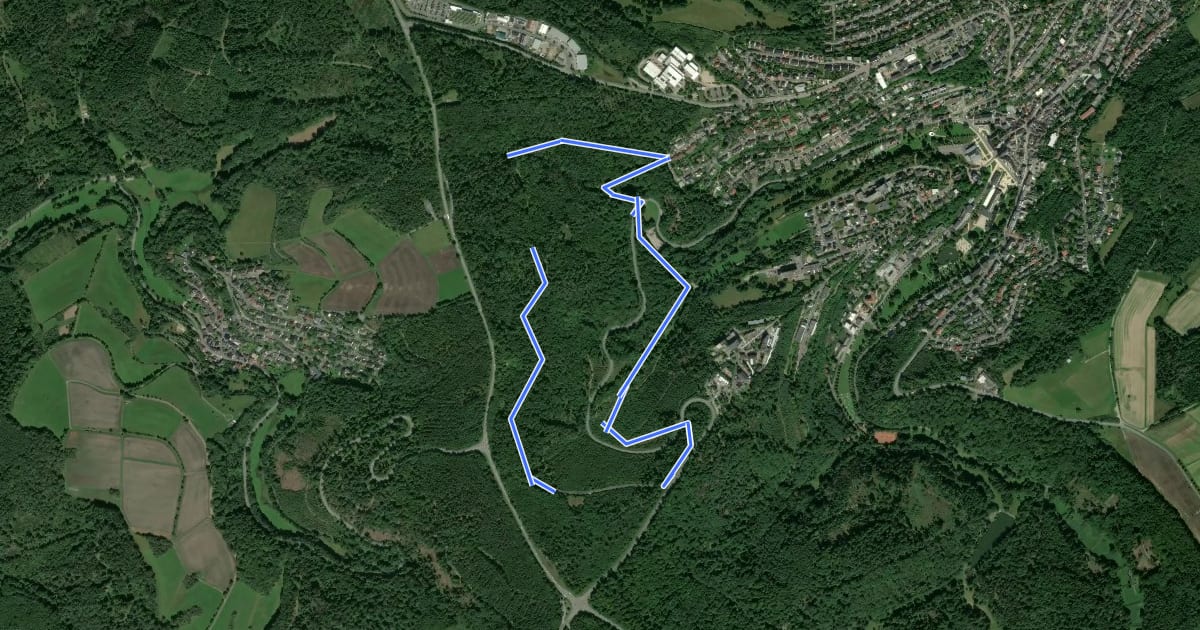 Маршрут Rundwanderweg Roter Rehkopf на спутниковом снимке