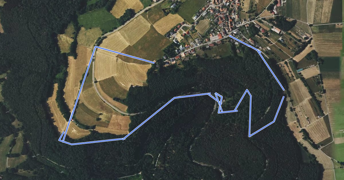 Маршрут Rundwanderweg Rothenberg Oberer Hömerichsbrunnen 4 на спутниковом снимке