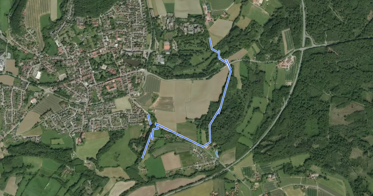 Маршрут Rundwanderweg "rund um Bad Meinberg" (weißer Kreis) [Bad Meinberg] на спутниковом снимке