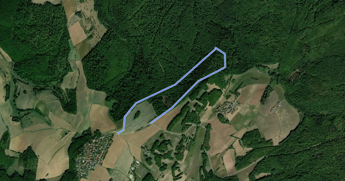 Маршрут Rundwanderweg Ruppertsecken - Haderwald-Wanderweg на спутниковом снимке