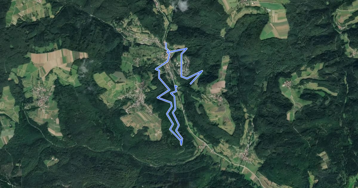 Маршрут Rundwanderweg S1 на спутниковом снимке