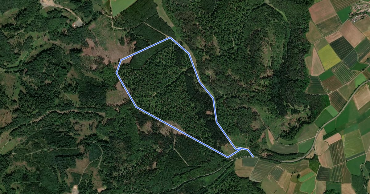 Маршрут Rundwanderweg Sandgrube 2 на спутниковом снимке