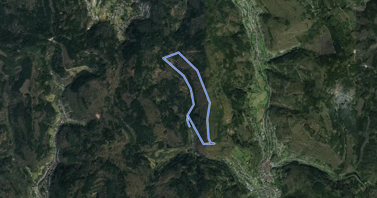 Маршрут Rundwanderweg Schönau 1: Hasselbach-Weg на спутниковом снимке