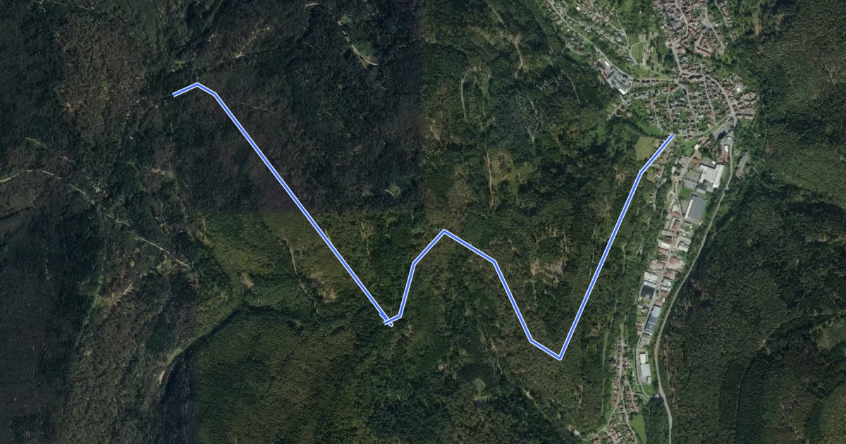 Маршрут Rundwanderweg Schönau 3: Lärchengarten-Weg на спутниковом снимке