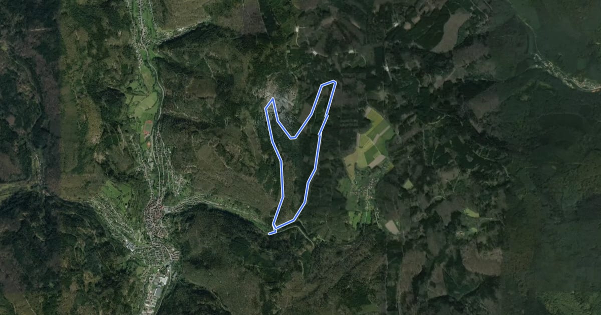 Маршрут Rundwanderweg Schönau 4: Geißengrund-Weg на спутниковом снимке