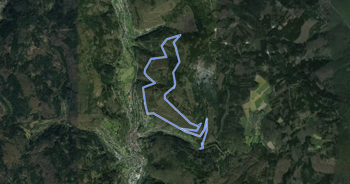 Маршрут Rundwanderweg Schönau 5: Hexenbuckel-Weg на спутниковом снимке
