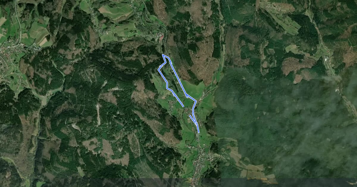 Маршрут Rundwanderweg Schönmattenwag 1: Lotzenbuckel-Weg на спутниковом снимке