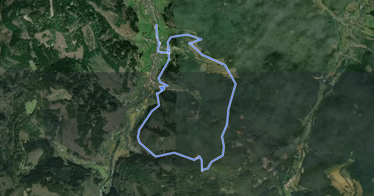 Маршрут Rundwanderweg Schönmattenwag 6: Salzhecken-Weg на спутниковом снимке