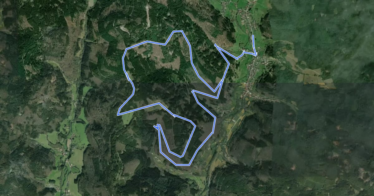 Маршрут Rundwanderweg Schönmattenwag 7: Adlerstein-Weg на спутниковом снимке