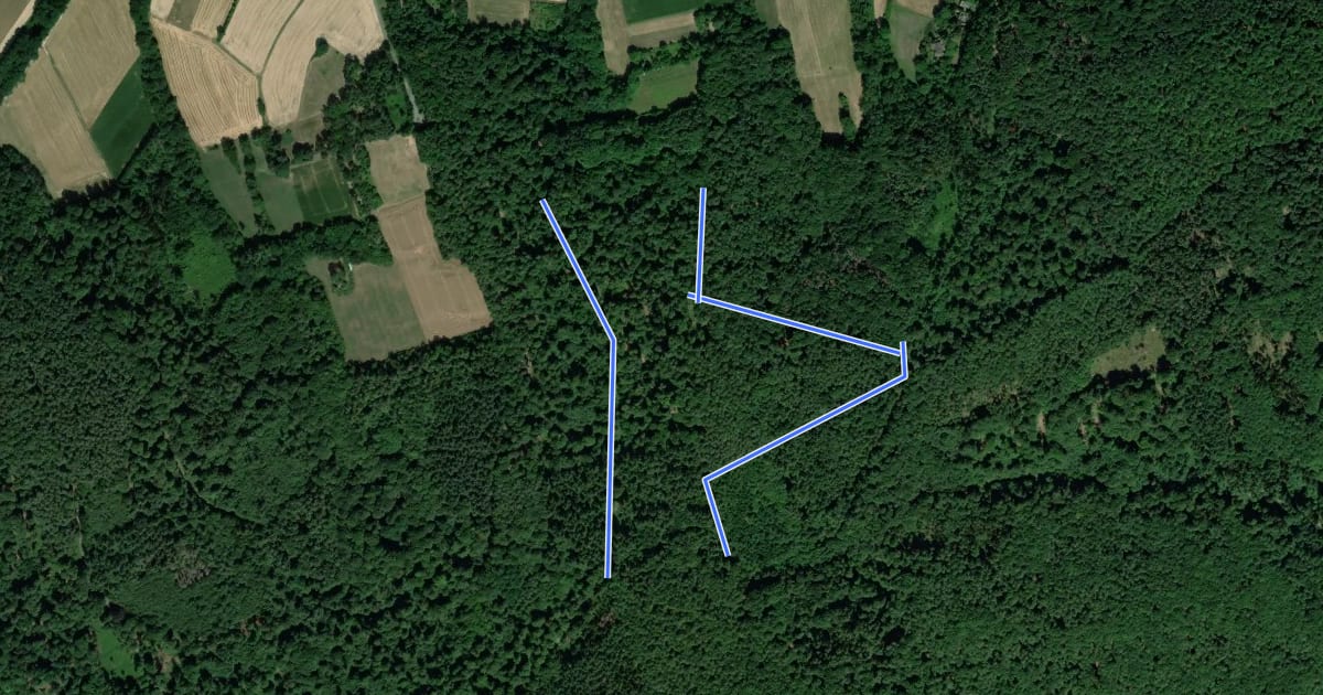 Маршрут Rundwanderweg Schaafheim Sterbach 2: Im Welschbach на спутниковом снимке