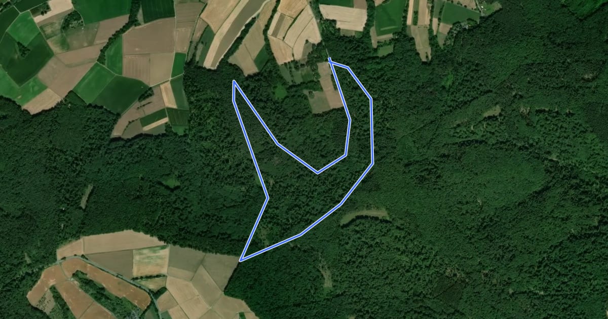 Маршрут Rundwanderweg Schaafheim Sterbach 3: Kesselrain-Weg на спутниковом снимке