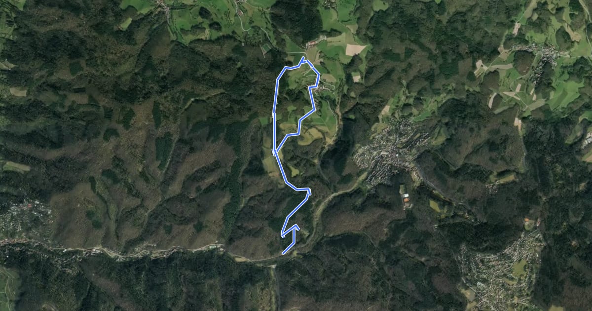 Маршрут Rundwanderweg Schafpferch 3: Ursenbach на спутниковом снимке