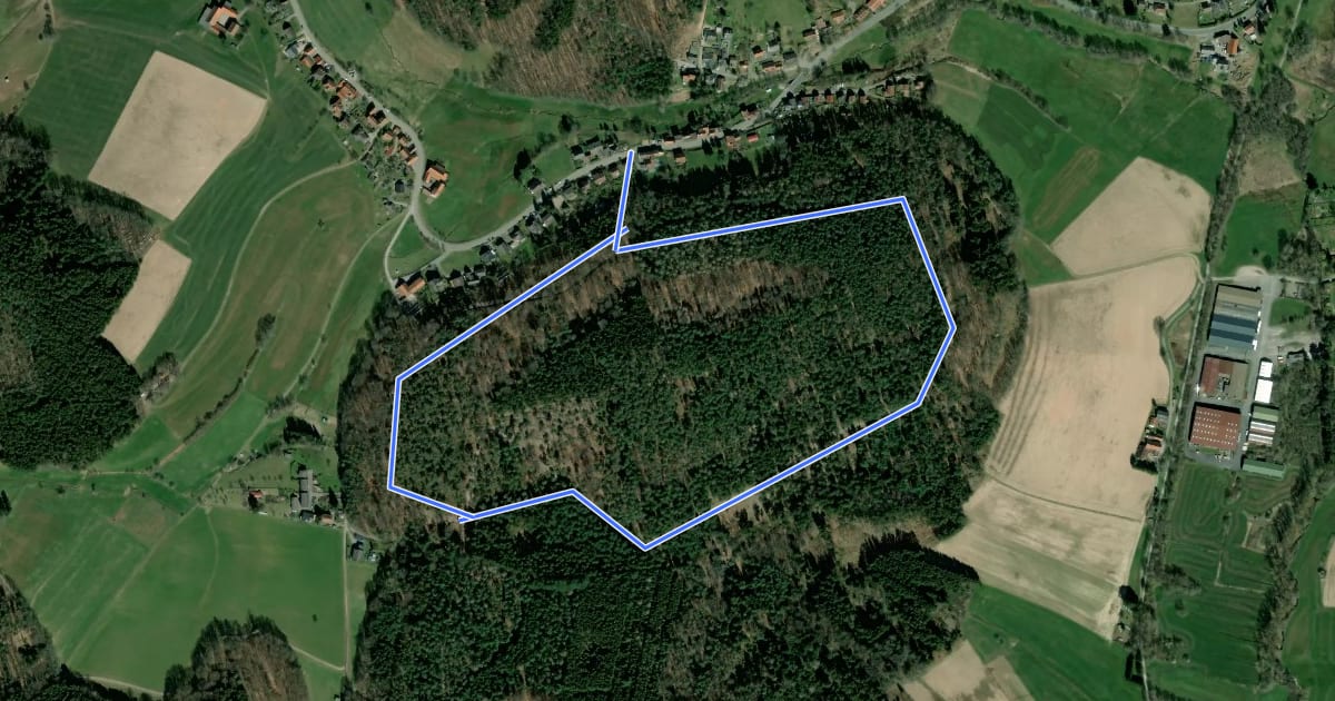 Маршрут Rundwanderweg Scharbach 2: Vogelherd-Weg на спутниковом снимке