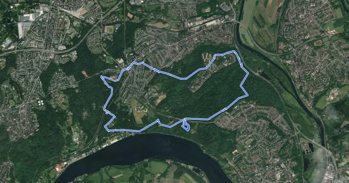 Маршрут Rundwanderweg Schellenberger Wald на спутниковом снимке
