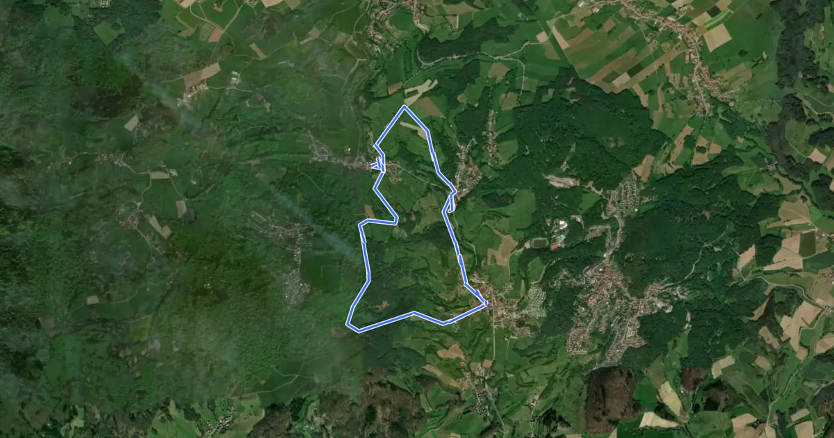 Маршрут Rundwanderweg Schlierbach 2: Glattbach-Weg на спутниковом снимке