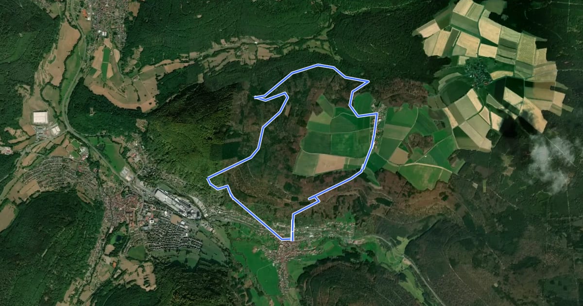 Маршрут Rundwanderweg Schneeberg 2: Warzenstein-Weg на спутниковом снимке