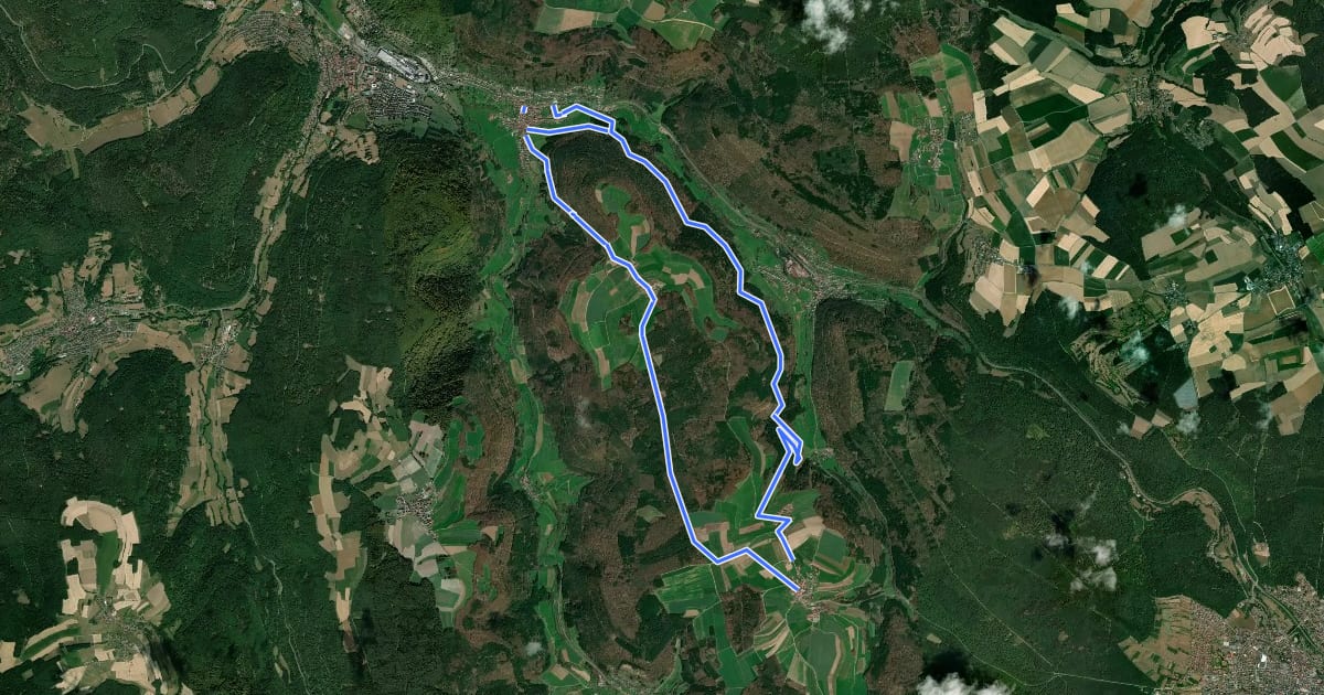 Маршрут Rundwanderweg Schneeberg 4: Schneeberg-Weg на спутниковом снимке