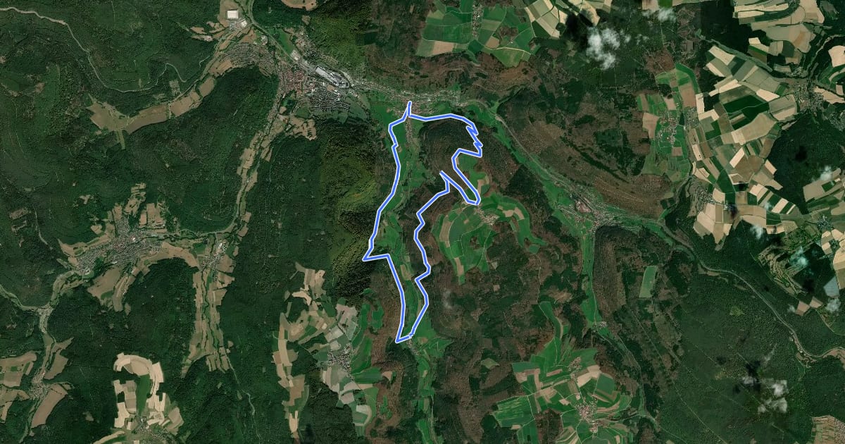 Маршрут Rundwanderweg Schneeberg 7: Morretal-Wanderung на спутниковом снимке