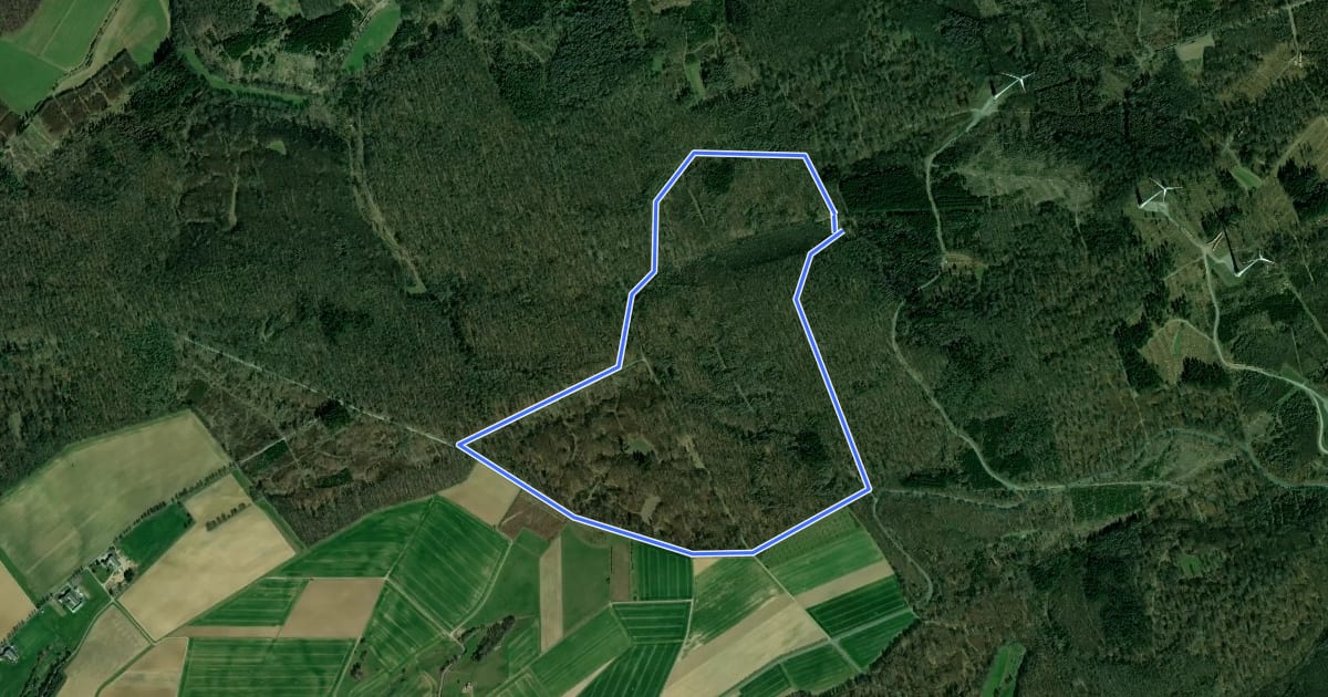 Маршрут Rundwanderweg Schnepfe Schwickershausen на спутниковом снимке