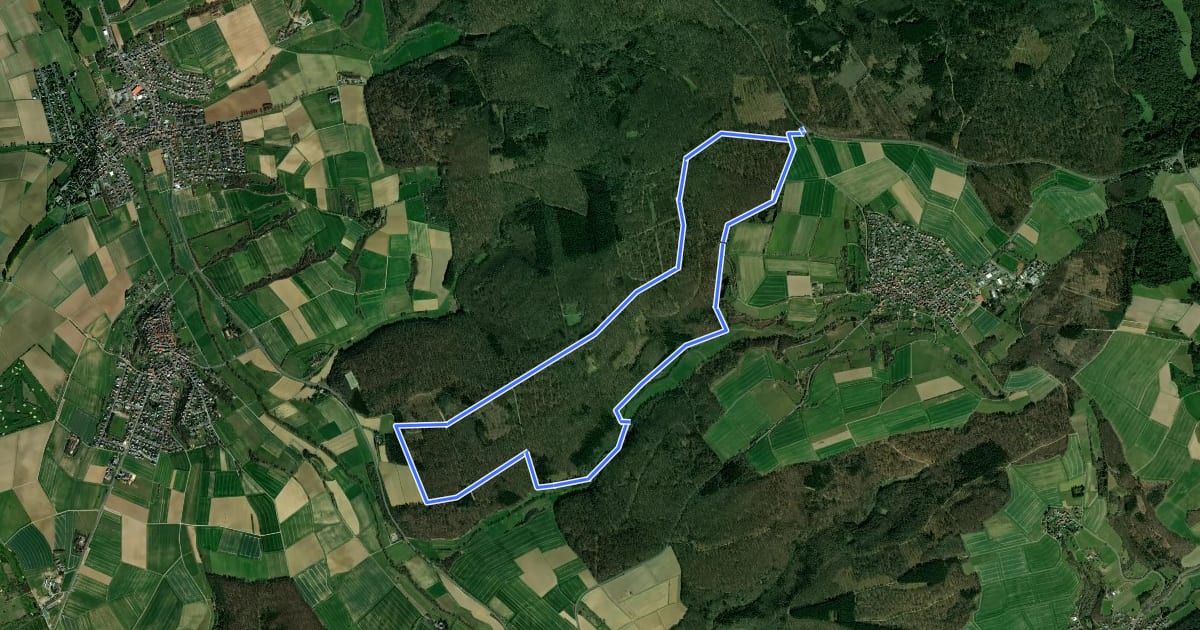 Маршрут Rundwanderweg Schnepfe Totenkopf на спутниковом снимке