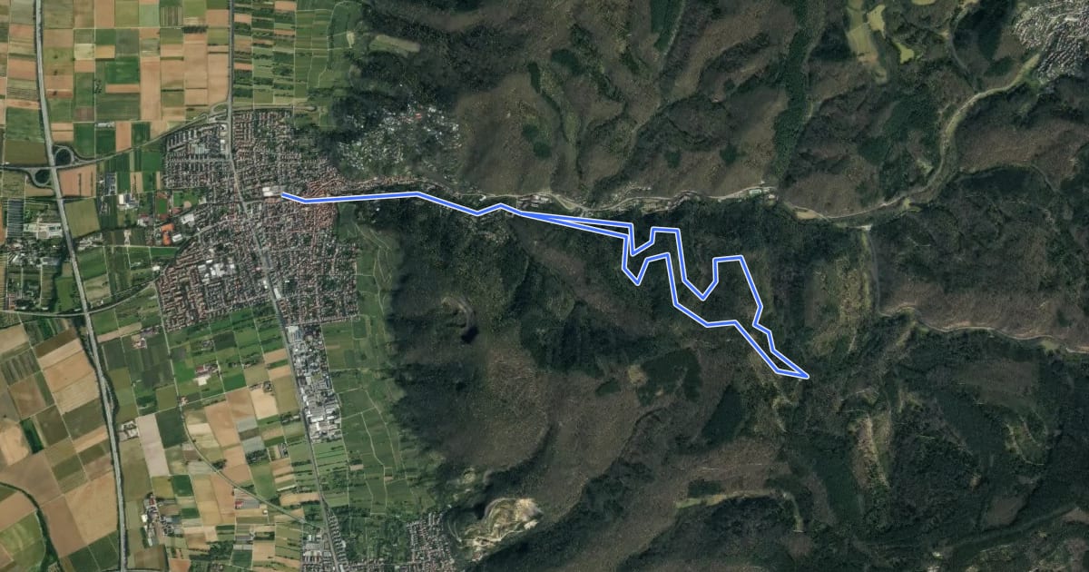 Маршрут Rundwanderweg Schriesheim 1: Schornsteinweg на спутниковом снимке