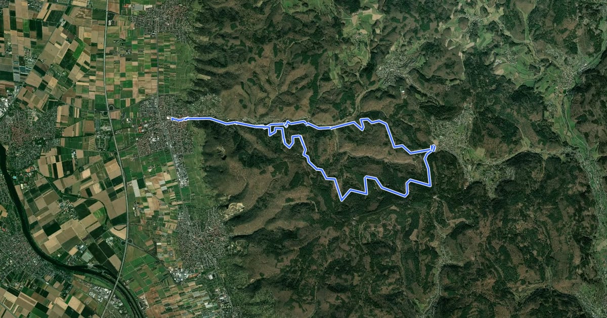Маршрут Rundwanderweg Schriesheim 2: Schriesheimer-Hof-Weg на спутниковом снимке