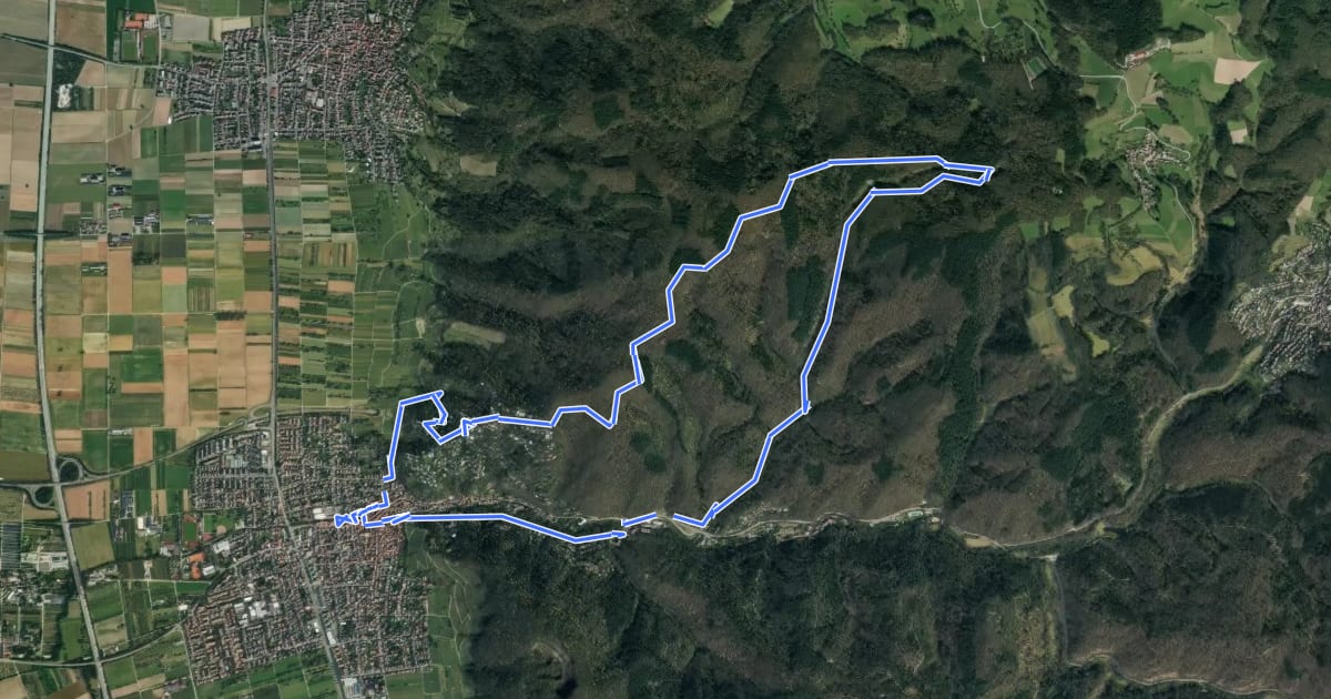 Маршрут Rundwanderweg Schriesheim 3: Schriesheimer-Hütten-Weg на спутниковом снимке