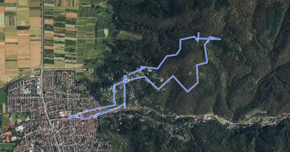 Маршрут Rundwanderweg Schriesheim 5: Branichweg на спутниковом снимке