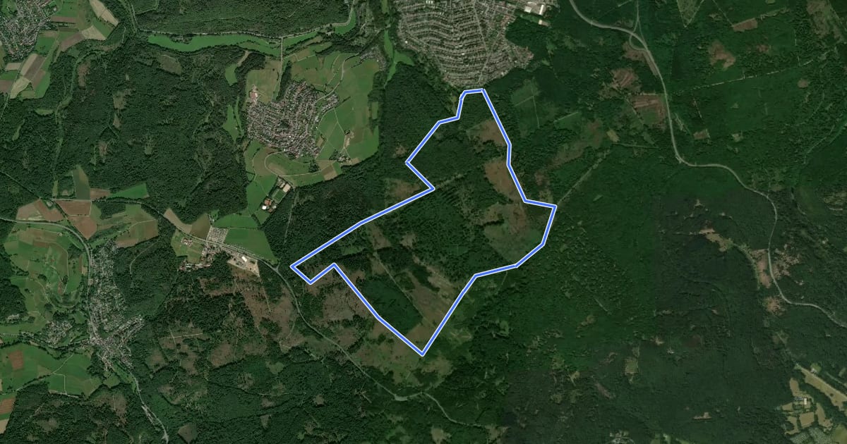 Маршрут Rundwanderweg schwarzes Quadrat на спутниковом снимке