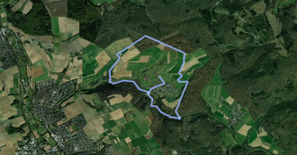 Маршрут Rundwanderweg Schwickershausen 4 Großer Schwickershäuser Rundweg на спутниковом снимке
