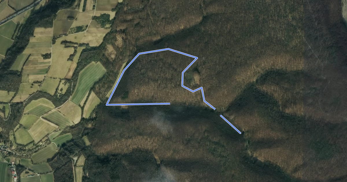 Маршрут Rundwanderweg Seckborngrund/Omburn - Tour rote Raute на спутниковом снимке