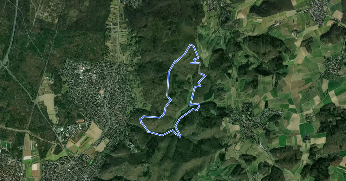 Маршрут Rundwanderweg Seeheim-Jugenheim Friedensquelle 6: Galgen-Weg на спутниковом снимке