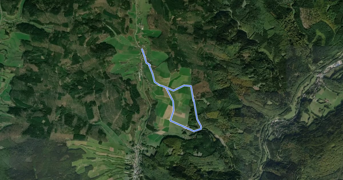 Маршрут Rundwanderweg Sensbachtal 4 на спутниковом снимке