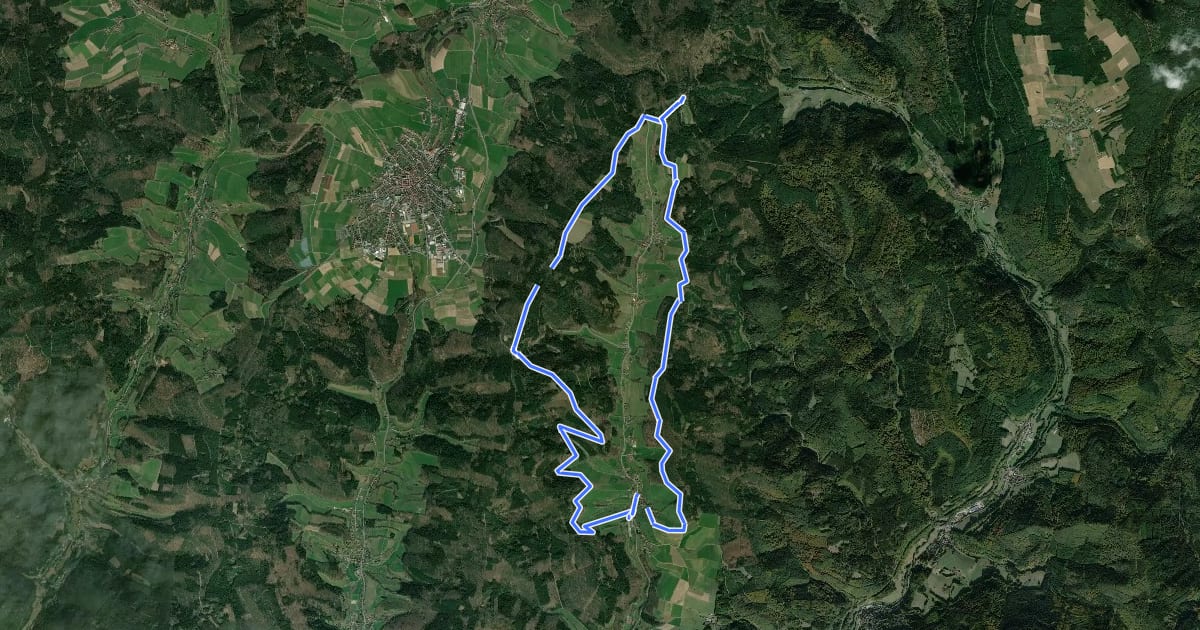 Маршрут Rundwanderweg Sensbachtal 6 на спутниковом снимке