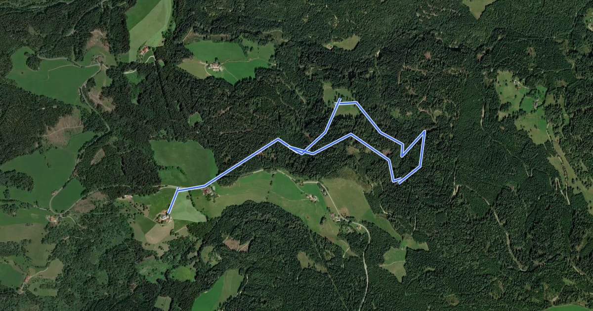 Маршрут Rundwanderweg Silbergraben на спутниковом снимке