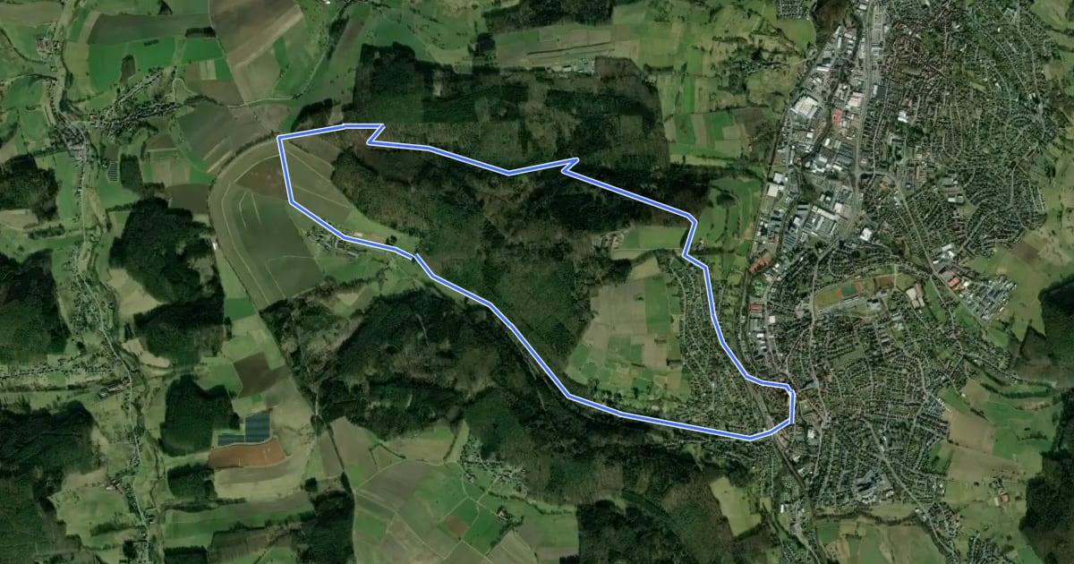 Маршрут Rundwanderweg Sparkasse Odenwaldkreis 5: Wildpark-Weg Brudergrund на спутниковом снимке