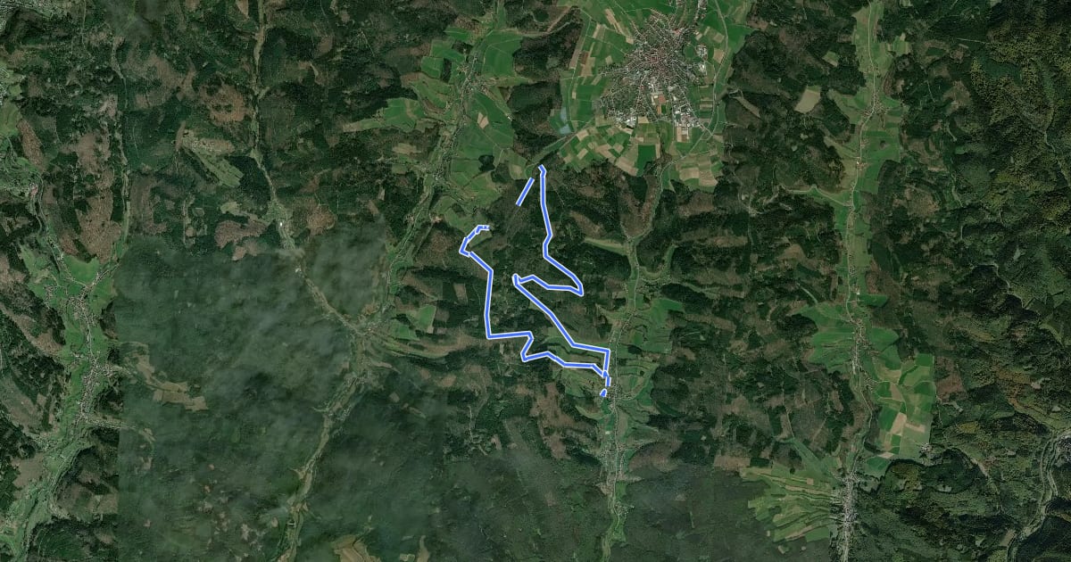 Маршрут Rundwanderweg Sparkasse Odenwaldkreis 6: Burg-Freienstein-Weg на спутниковом снимке