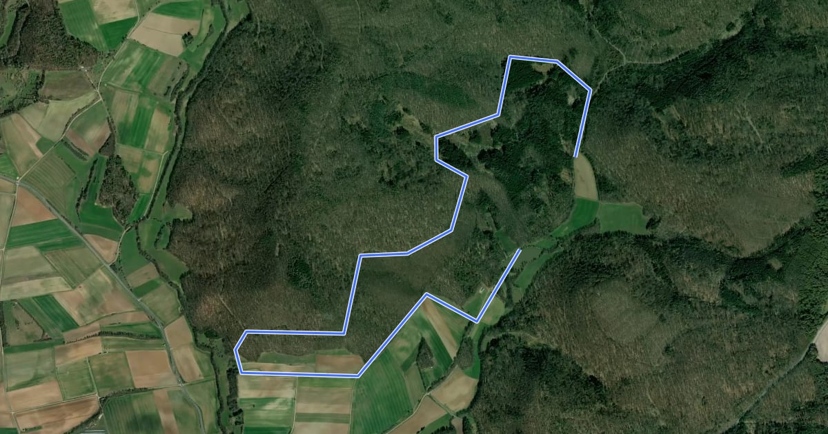 Маршрут Rundwanderweg Specht Altershausen на спутниковом снимке
