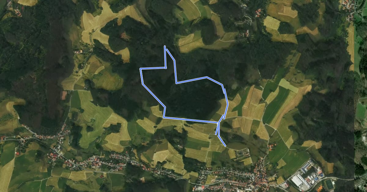 Маршрут Rundwanderweg Steinachquelle 4: Götzenstein-Weg на спутниковом снимке