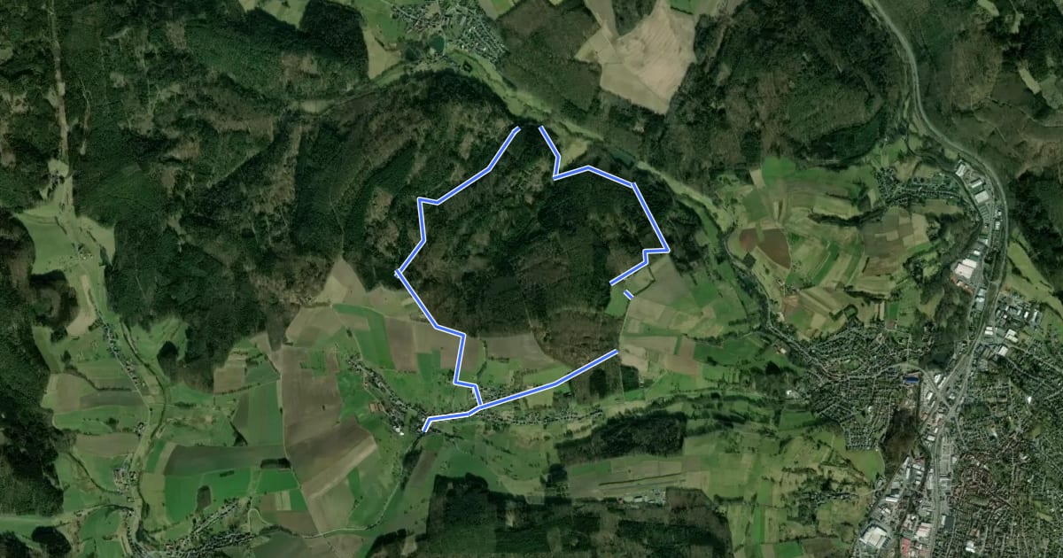 Маршрут Rundwanderweg Steinbuch 1: Rehbach-Weg на спутниковом снимке