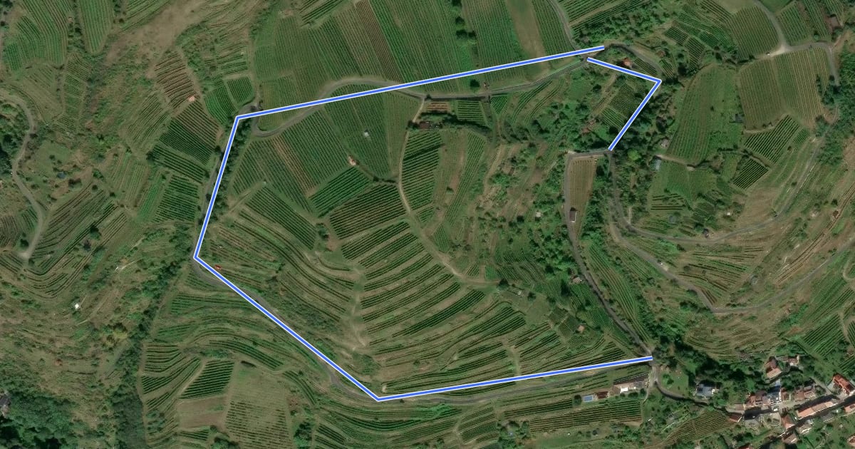 Маршрут Rundwanderweg Steiner Hund на спутниковом снимке