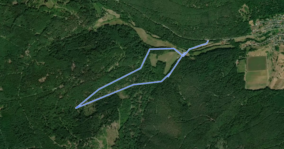 Маршрут Rundwanderweg Tal Laudenbach 2: Saufang-Weg на спутниковом снимке