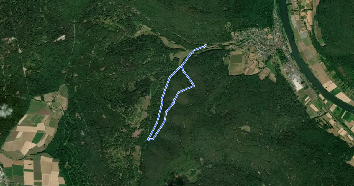 Маршрут Rundwanderweg Tal Laudenbach 3: Landel-Graben-Weg на спутниковом снимке