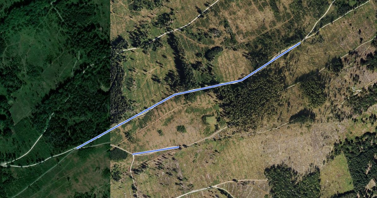 Маршрут Rundwanderweg Tanne на спутниковом снимке