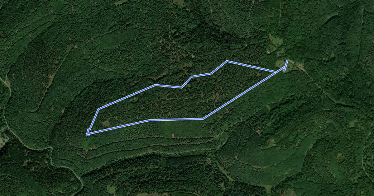 Маршрут Rundwanderweg Taubensuhl 1 на спутниковом снимке